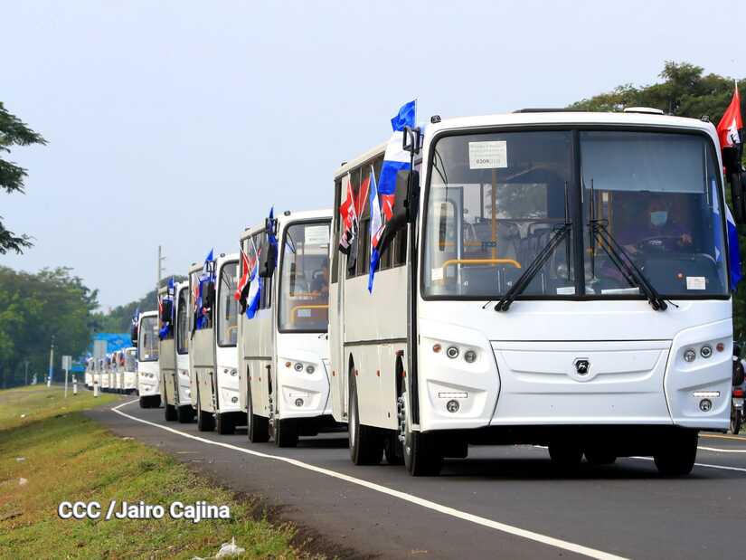 BUSES